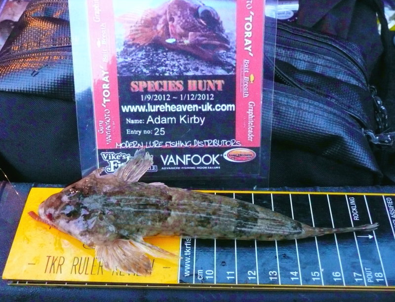 Dragonet for Species Hunt