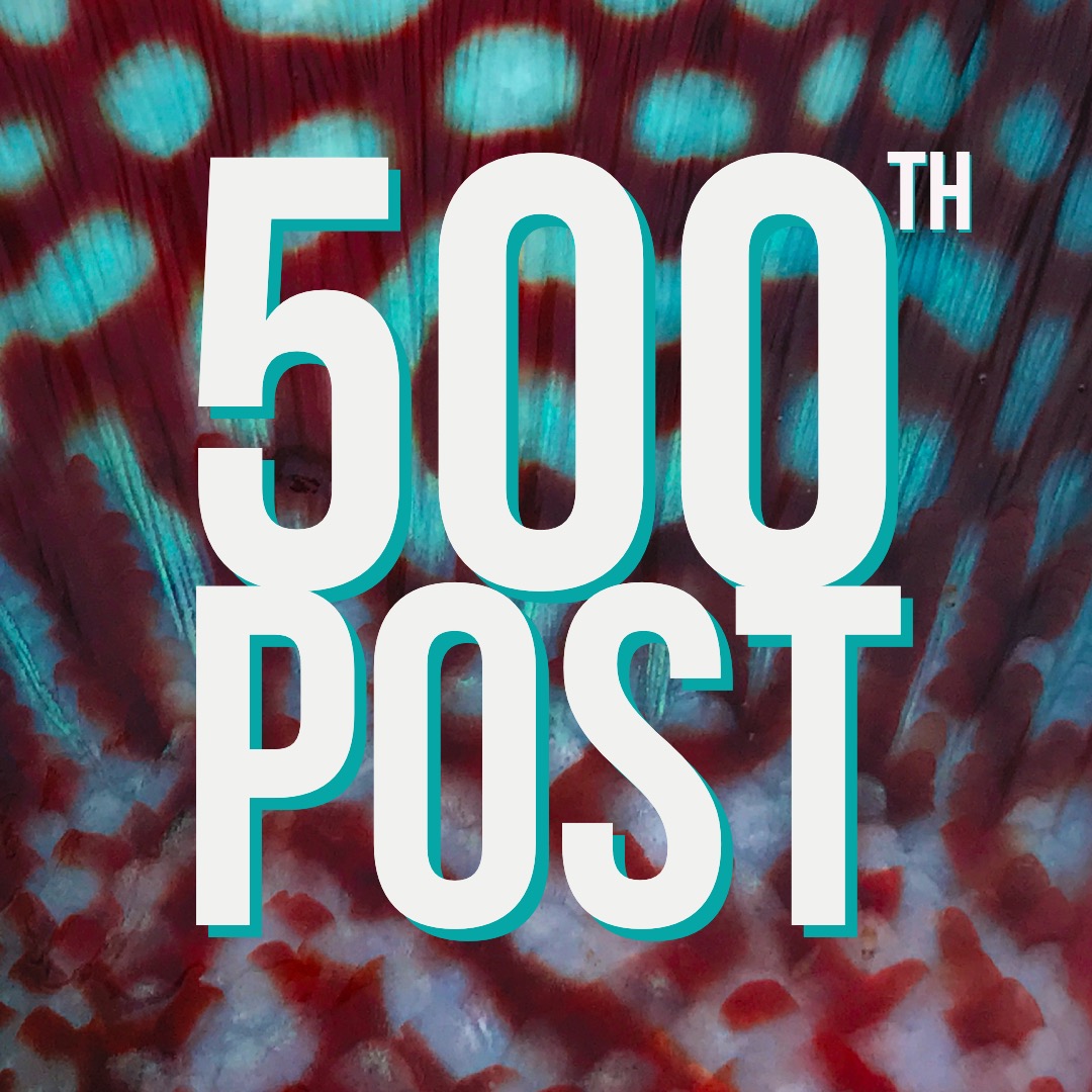 500th Post