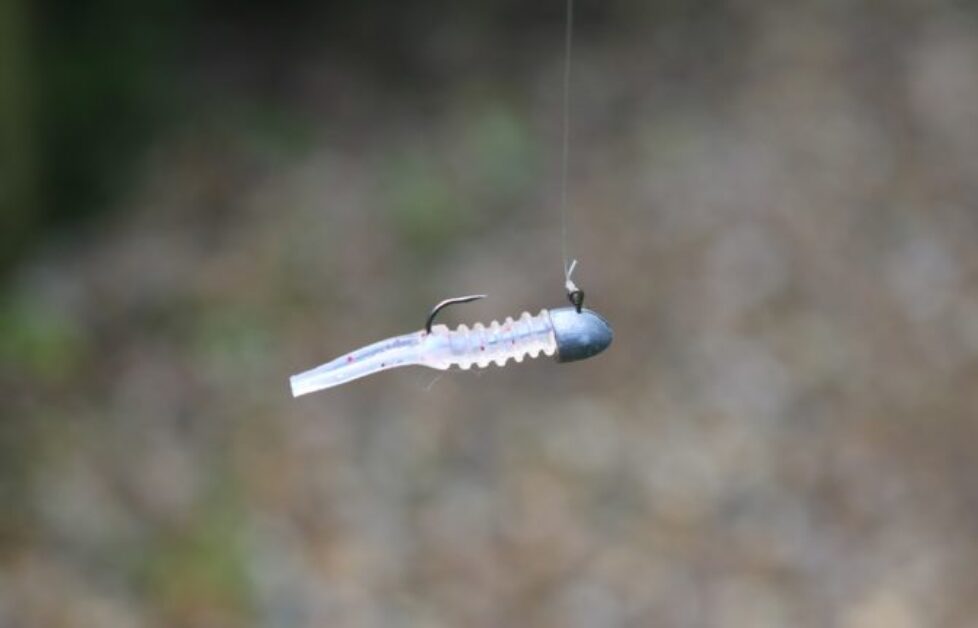 Perfect LRF Shrimp Rig