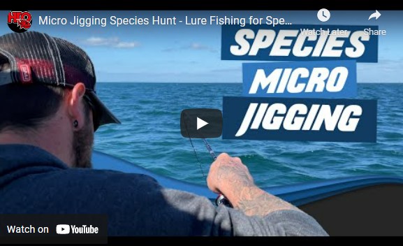 Micro Jigging Video